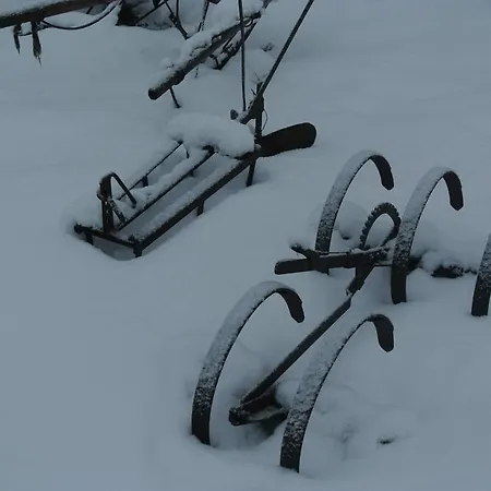 Dom wakacyjny Kaugel Kuelas *