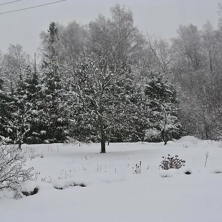 Dom wakacyjny Kaugel Kuelas *